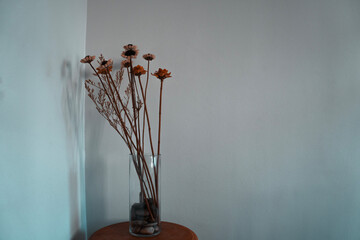 Brown dried flowers in a glass vase for minimal design, home decoration and minimal lifestyle