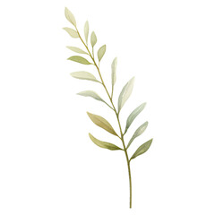 Fototapeta premium Watercolour floral illustration elements for bouquets, wreaths, wedding invitations, anniversary, birthday, postcards, greetings.