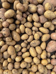 close up of a pile of potatoes