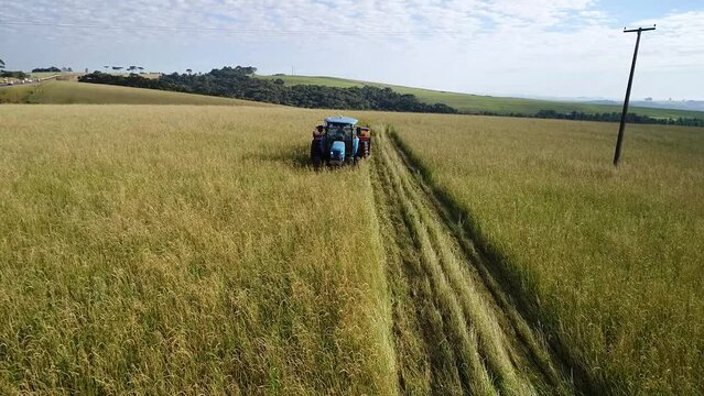 Planta&ccedil;&atilde;o cana de a&ccedil;&uacute;car na estrada e no campo com trator e maquin&aacute;rio 