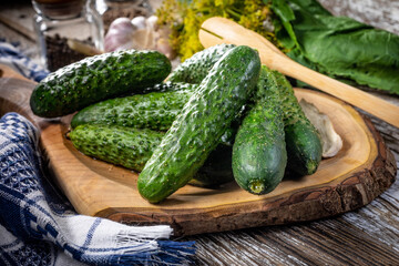 Preparation for pickling cucumbers.