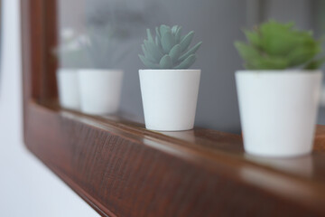 A small White plant pot displayed in the window. plant pot behind a brown wooden window. Design for cafe or home. free space for advertisement.