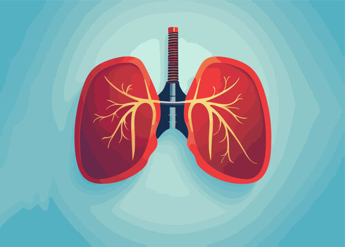 human lungs on a blue background