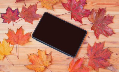 Autumn composition. Colorful maple leaves and tablet.