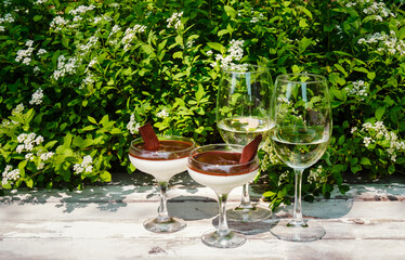 Homemade delicious italian dessert panna cotta with chocolate syrup and two glasses of white wine on rustic wooden table on fresh white Spiraea flowers background