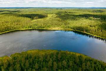 High angle view of lush green nature and forest, a blue lake and summer cottages in Finland