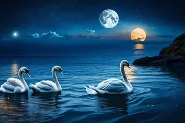 Fotobehang swans on the lake © zabeehullah