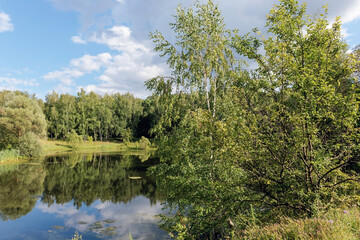 Fototapeta na wymiar Summer landscape with river.