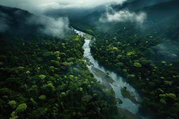 aerial view of pristine rainforest landscape