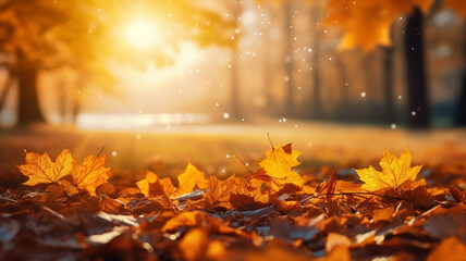 autumn background with fallen leaves and park