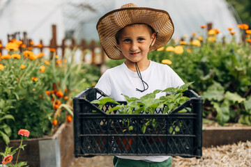 Young Caucasian boy carrying crate with plants trough the eco garden.