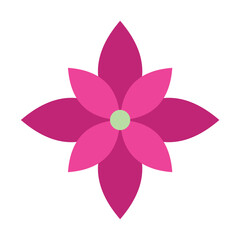 Flower icon vector,Flower Illustration Colorful Exotic Tropical