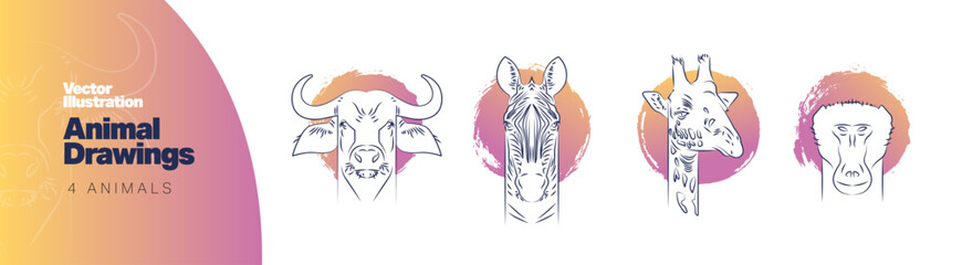 Animal Drawings, vector illustration ang graphic design. 4 animals. Bull, Zebra, Giraffe and Primate.
