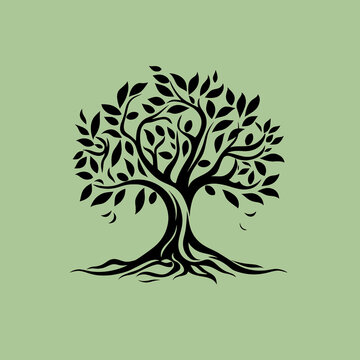 Olive tree logo on olive background, organic farm oil, olive tree illustration, olive oil symbol, wild oil food