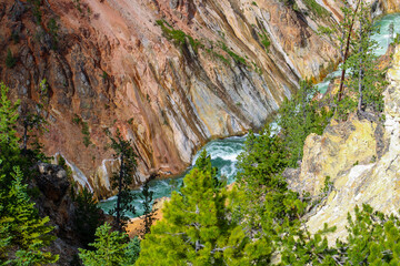 The Grand Canyon of Yellowstone 