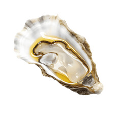 Isolated Image of Opened Oysters, Gourmet Appetizer