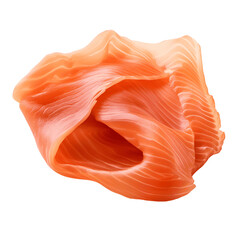 Isolated Image of Smoked Salmon, Gourmet Seafood