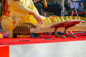 琴の演奏会（日本文化）