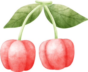 Watercolor Acerola cherry 