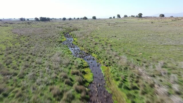 Aerial video of a green landscape in the Golan, Israel