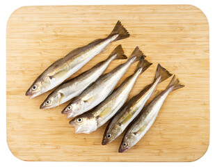 black sea whiting
