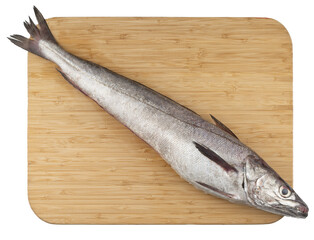 haddock fish