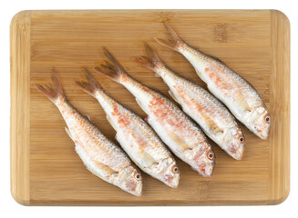 mullet fresh fish on a wooden board