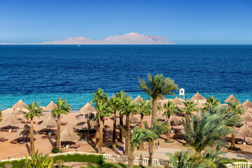 Aerial view of beautiful  tropical beach resort with palm trees and umbrellas in Sharm el Sheikh, Sinai, Egypt, Africa.	