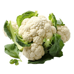 cauliflower png. cauliflower flat lay png. cauliflower isolated. vegetable. food. fresh. organic. healthy