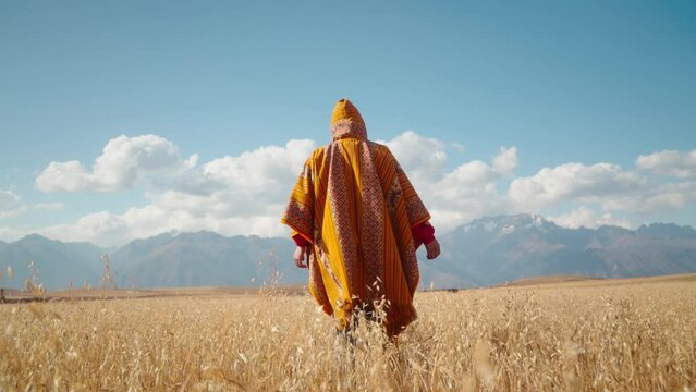 Persona caminando con traje tipico per&uacute;ano en cultivo de trigo con monta&ntilde;as cubiertas de nieve de fondo (Per&uacute;)