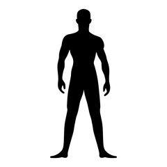 Male athletic human body silhouette. Vector illustration
