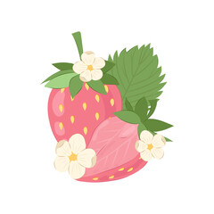 Ripe pink strawberries with flowers on a white background. Pink strawberry vector illustration in flat style.