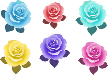 薔薇の花のカラーセット