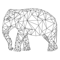 Elephant abstract geometric polygon. Illustration on transparent background
