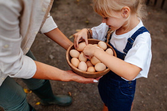 Little girl looking at eggs she has collected from the chicken - Powered by Adobe