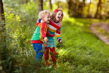 Kids play in autumn park - obrazy, fototapety, plakaty
