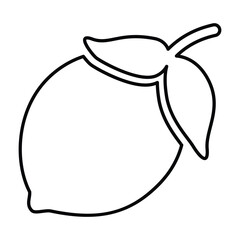 Lemon Fruit Icon