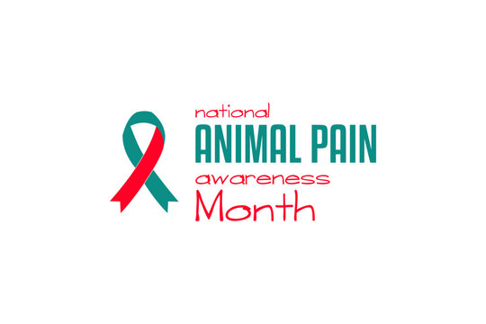 Animal Pain Awareness Month