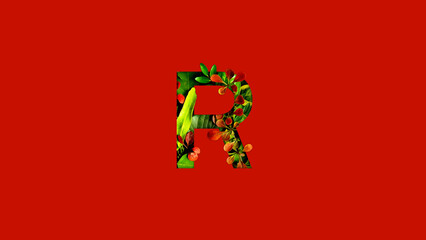 Letter R made of colorful tropical leaves. Leaf font concept. Unique collection of letters and numbers. Spring, summer and valentines creative idea. Tropical vibes.