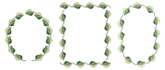 Green basil. Set of frames from leaves. Watercolor illustration for your design