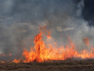Fototapeta na wymiar Burning fields of veld / grassland