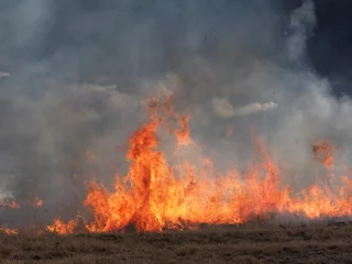 Deurstickers Burning fields of veld / grassland © Joanne