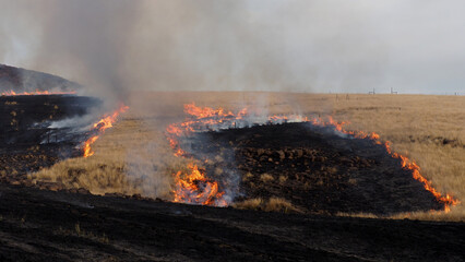 Burning fields of veld / grassland