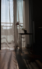 Fototapeta premium Modern room interior with open window in minimal style. Transparent tulle with morning sun rays on shadow background. Flower in vase on coffee table. Vertical photo. High quality photo