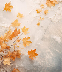 Minimal concept of the change of seasons, autumn and winter. Fallen autumn leaves covered with the first white soft snow. Background.