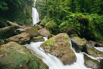View of the lush vegetation and rushing water of Trafalgar Falls on the Caribbean Island of...