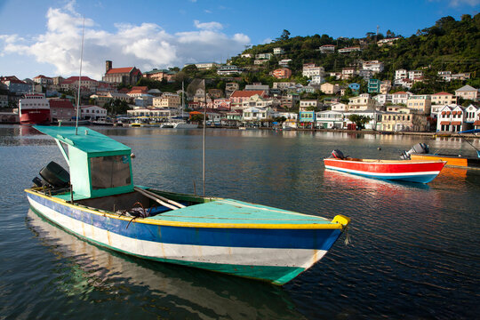 Harbor scene with colorful fishing boats moored close to shore and the port city capital of St Georges in the background on a sunny day; St Georges, Grenada, Caribbean