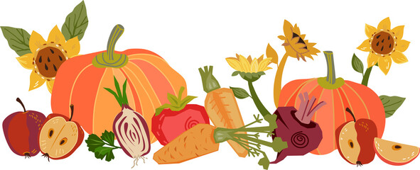 Autumn harvest of vegetables and plants. Banner with autumn vegetables and pumpkins.