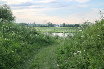 Fototapeta na wymiar river bank in the village in summer