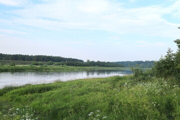 River in the countryside on a summer evening